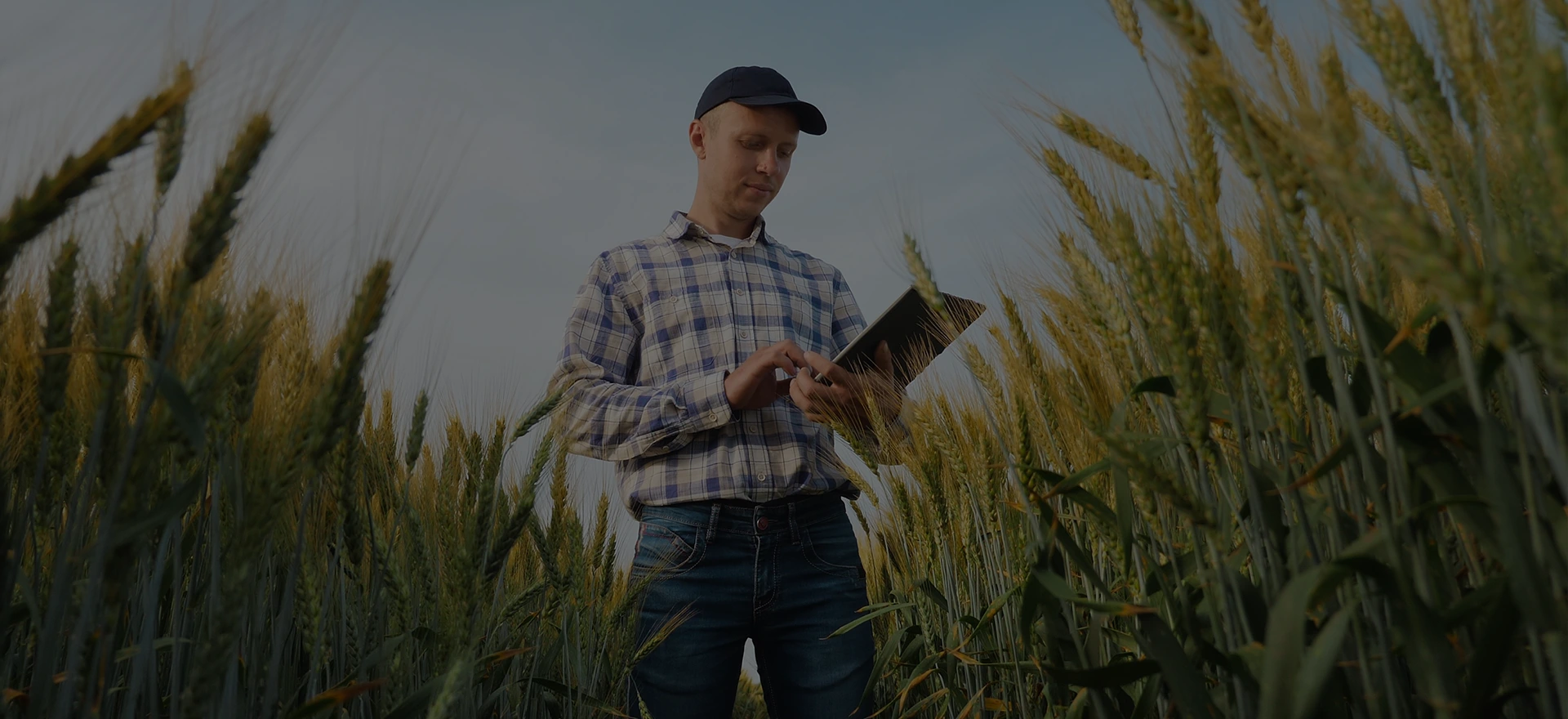 Au rythme de la nature