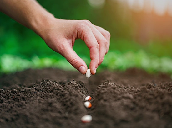 Les clés de la durabilité agricole